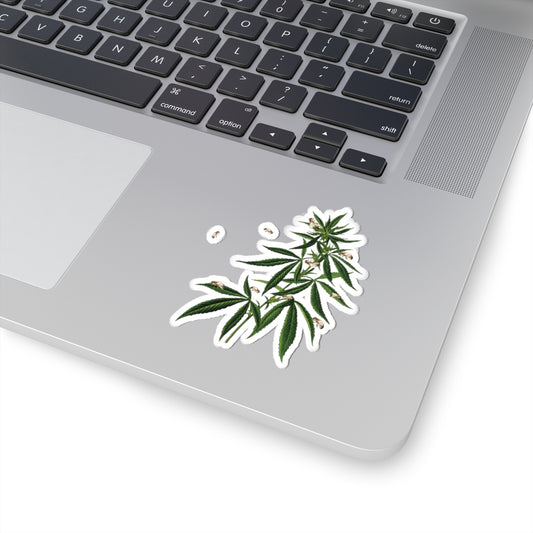 Weed Bee Best Buds - Stickers