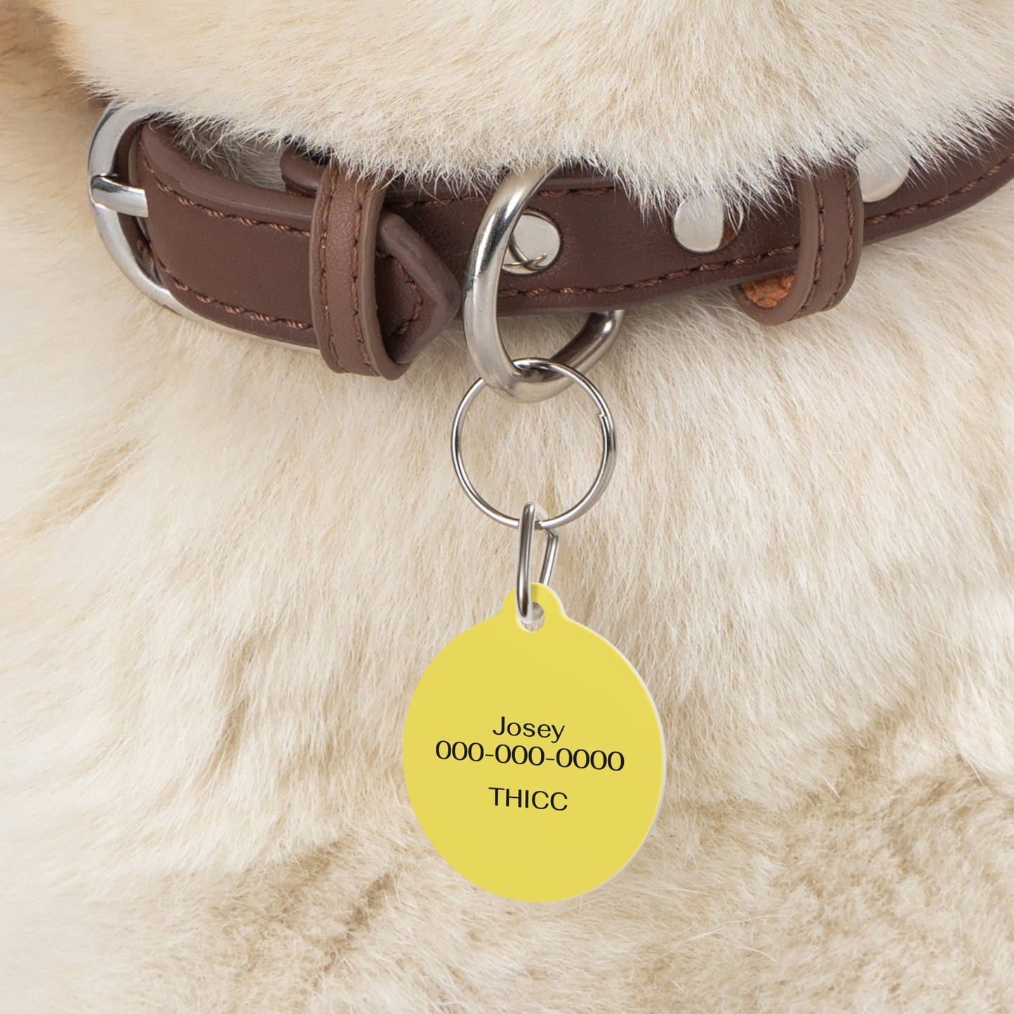 Personalizable Round Pet ID Tag