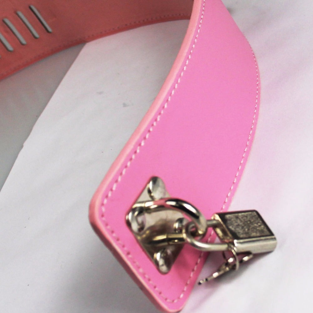 Lock and Leash Collar