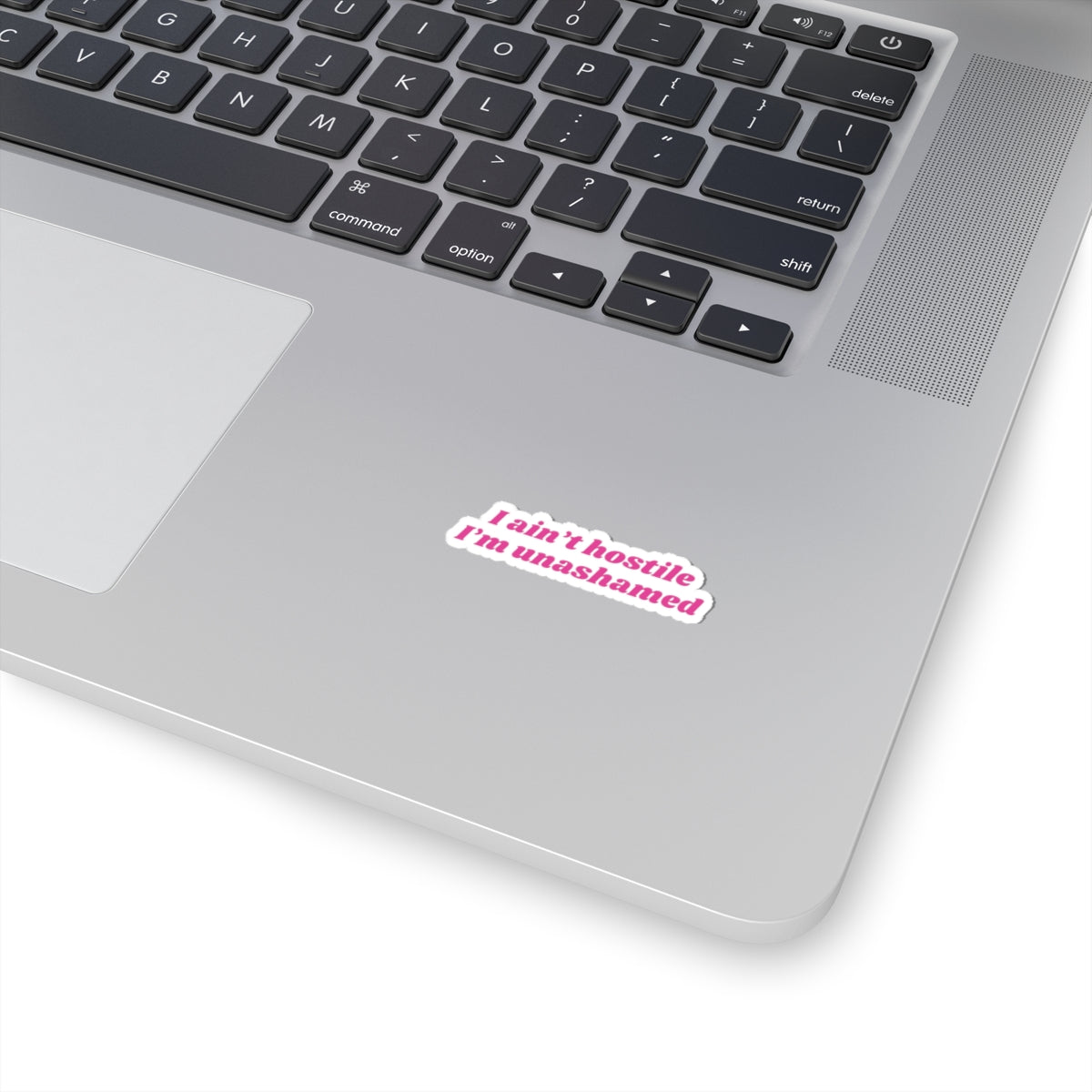 I ain't hostile, I'm unashamed  - Stickers