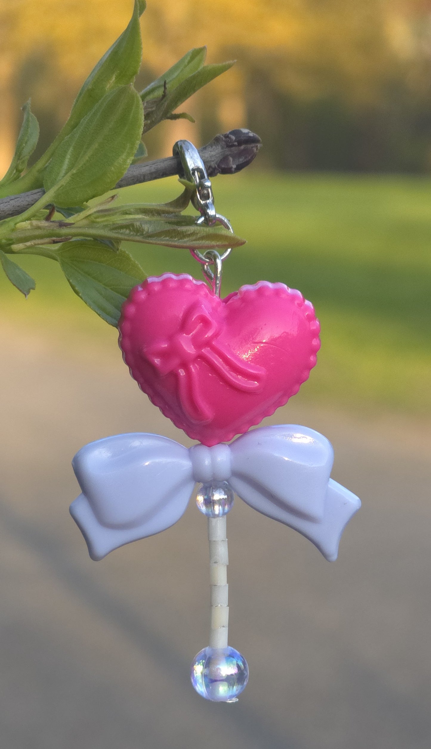 Wishes - Charm