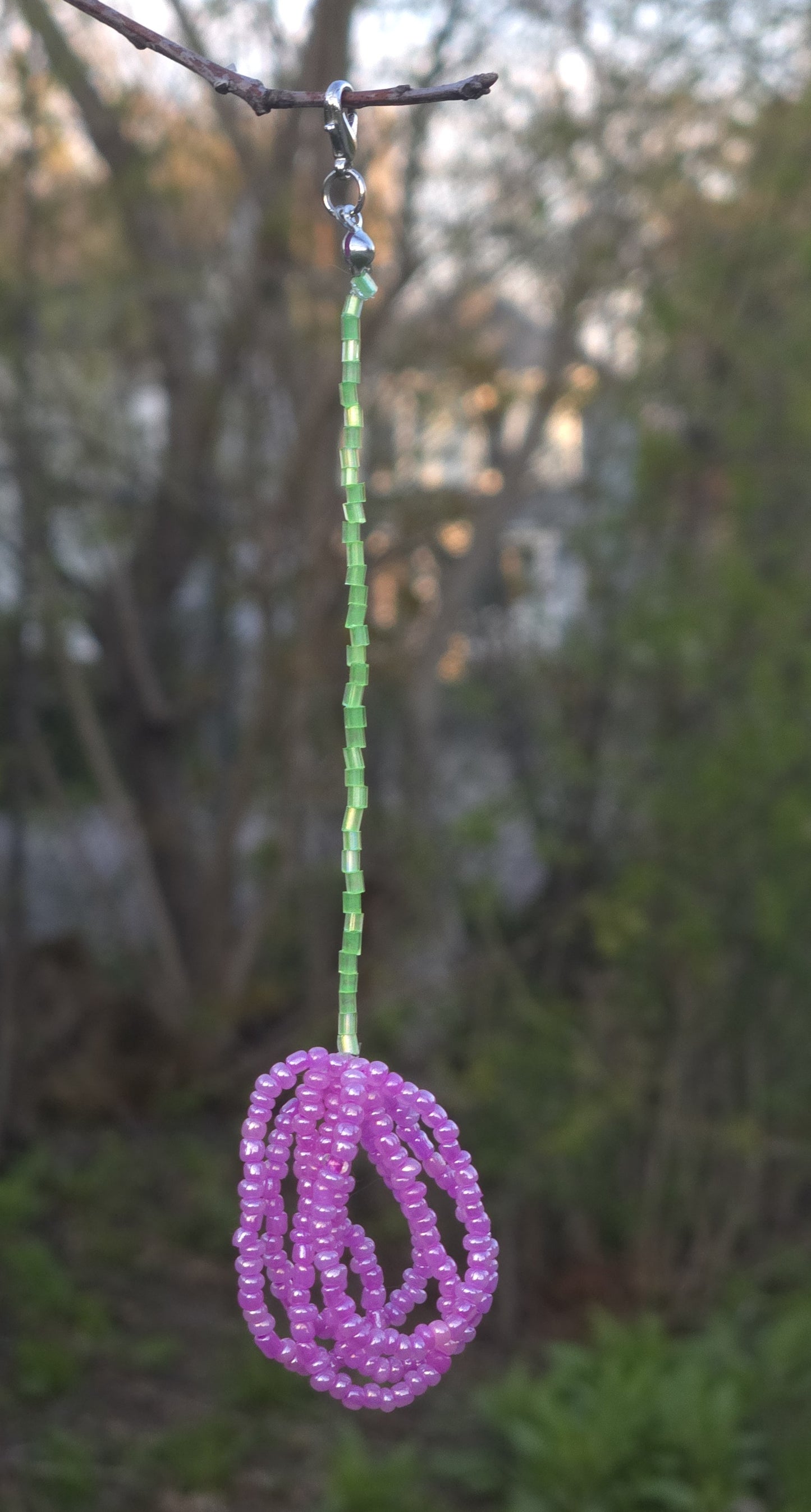 Tulip - Charm