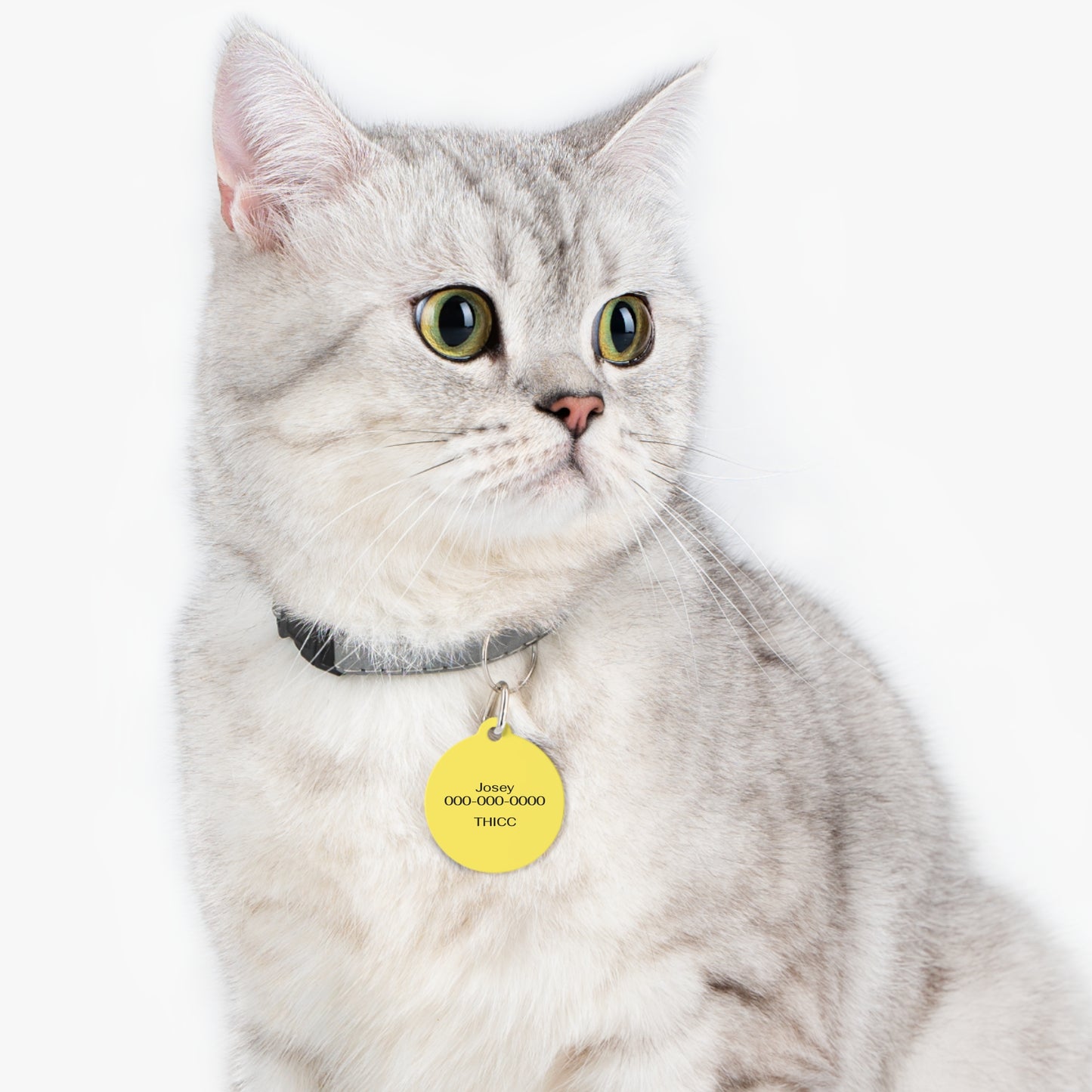 Personalizable Round Pet ID Tag