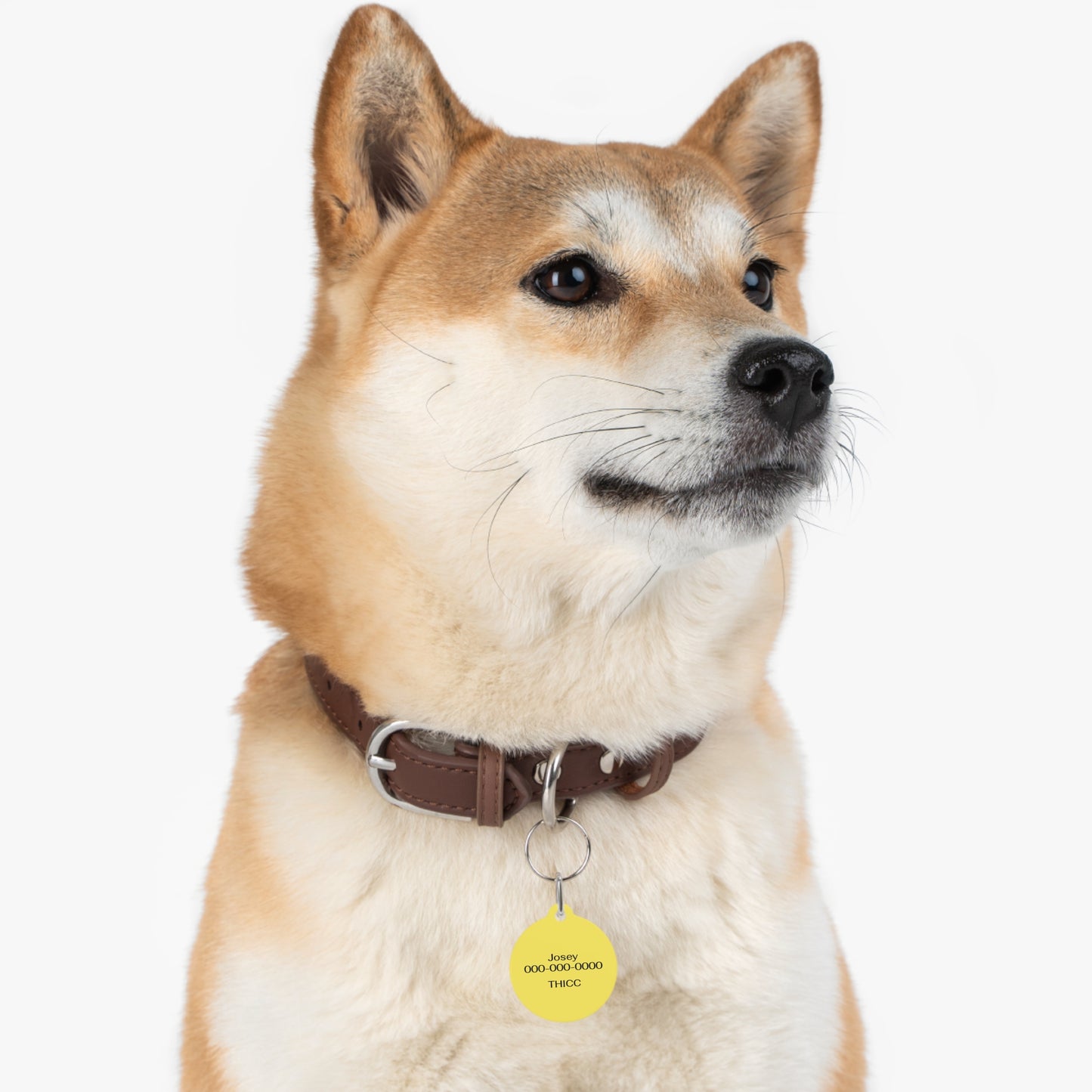 Personalizable Round Pet ID Tag