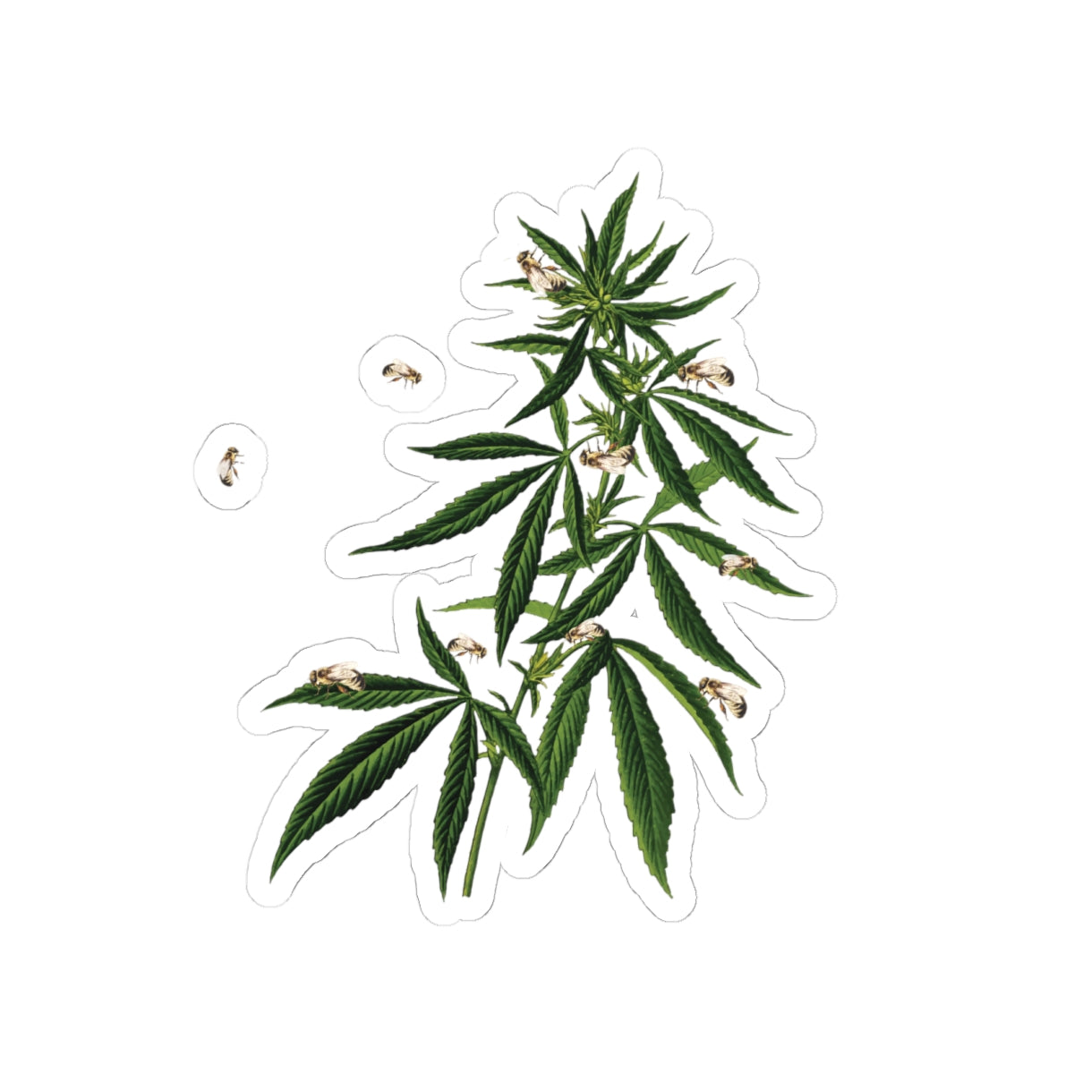 Weed Bee Best Buds - Stickers