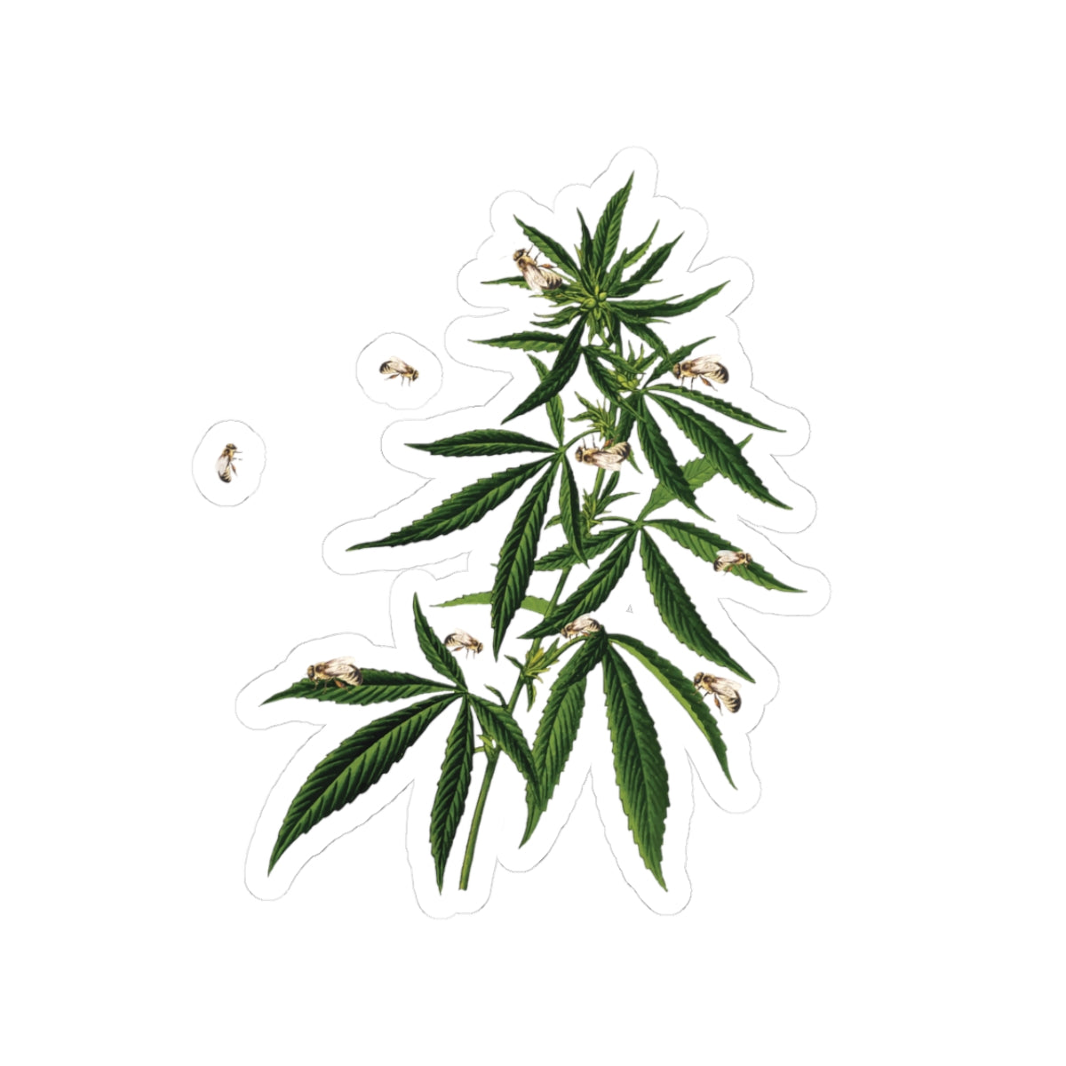 Weed Bee Best Buds - Stickers