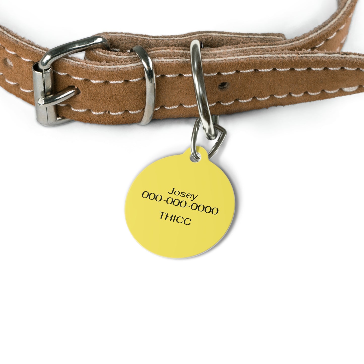 Personalizable Round Pet ID Tag