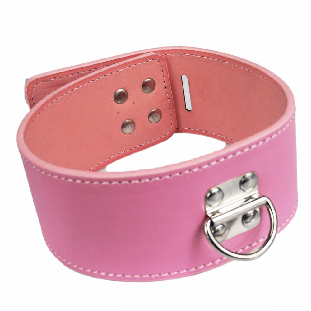 Lock and Leash Collar