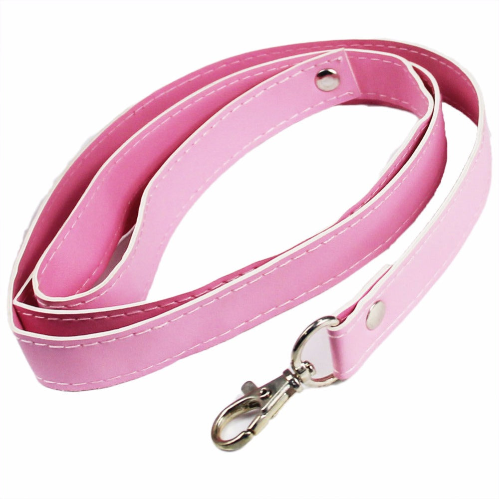 Lock and Leash Collar