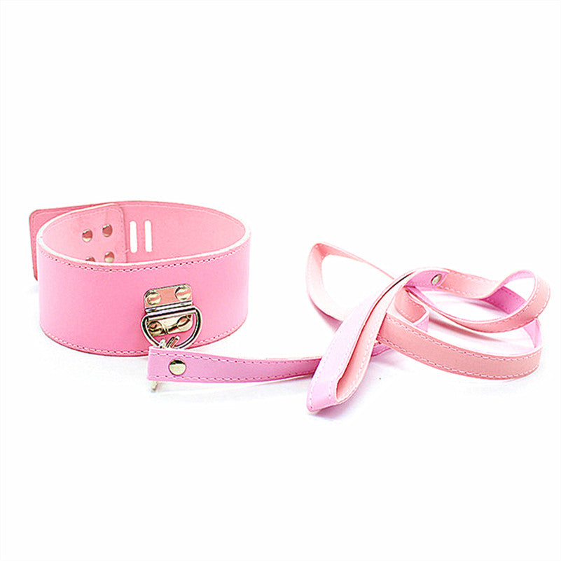 Lock and Leash Collar