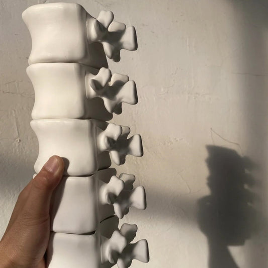 Vertebral Column Cups