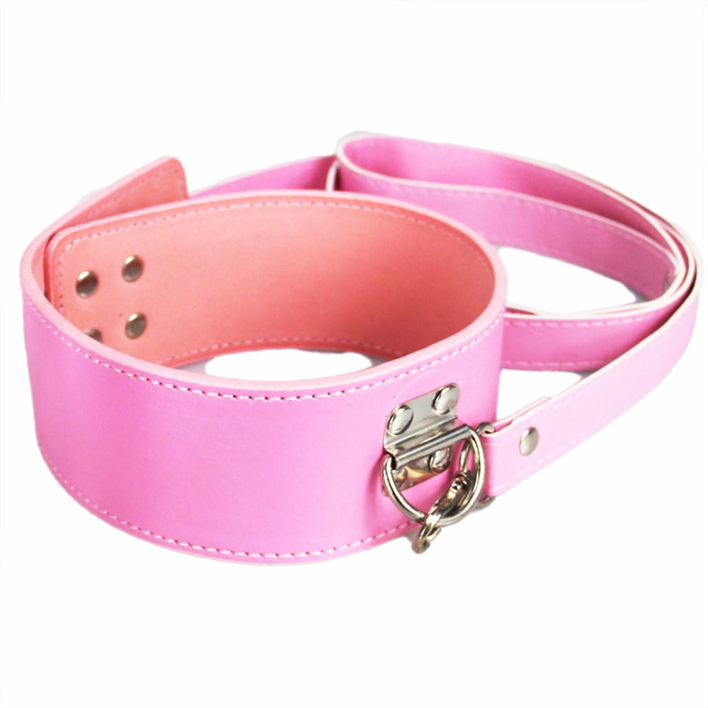 Lock and Leash Collar